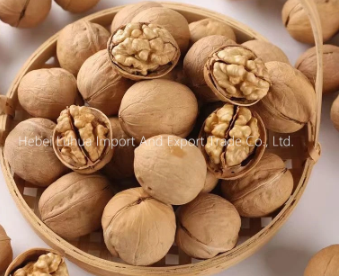 the-benefits-of-buying-walnuts-in-shell-bulk