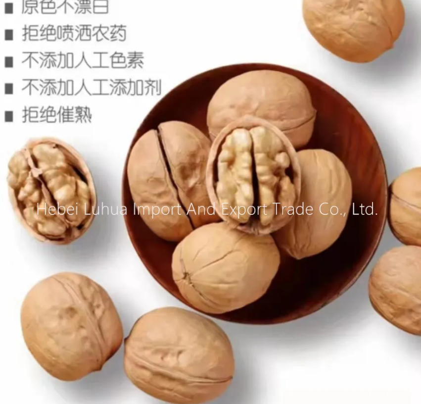 seasonal-availability-of-walnuts-in-shell-for-sale
