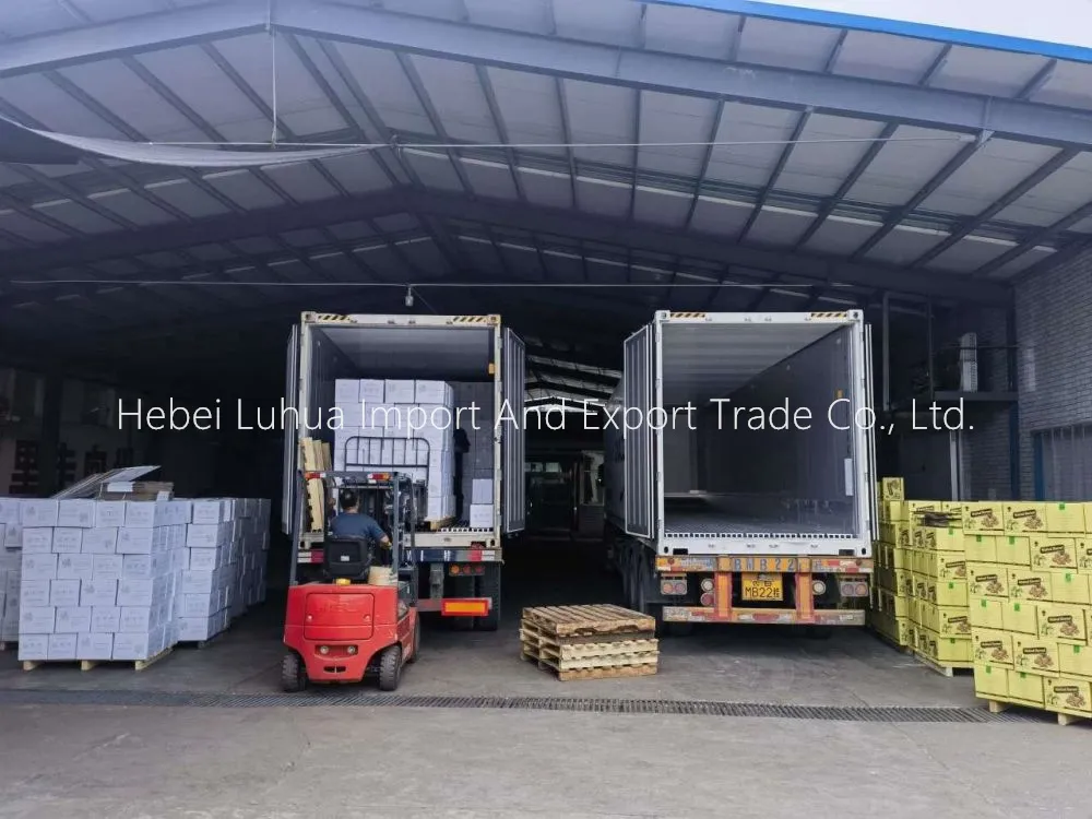 walnuts suppliers