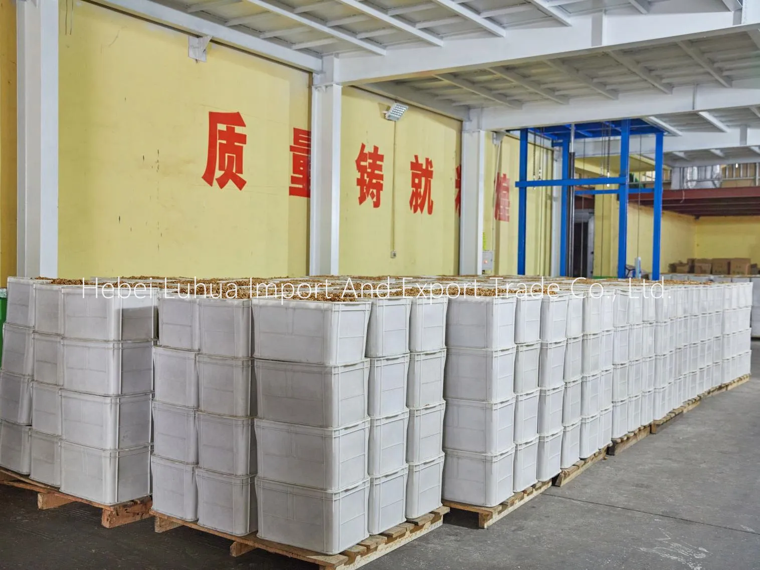 chinese walnut
