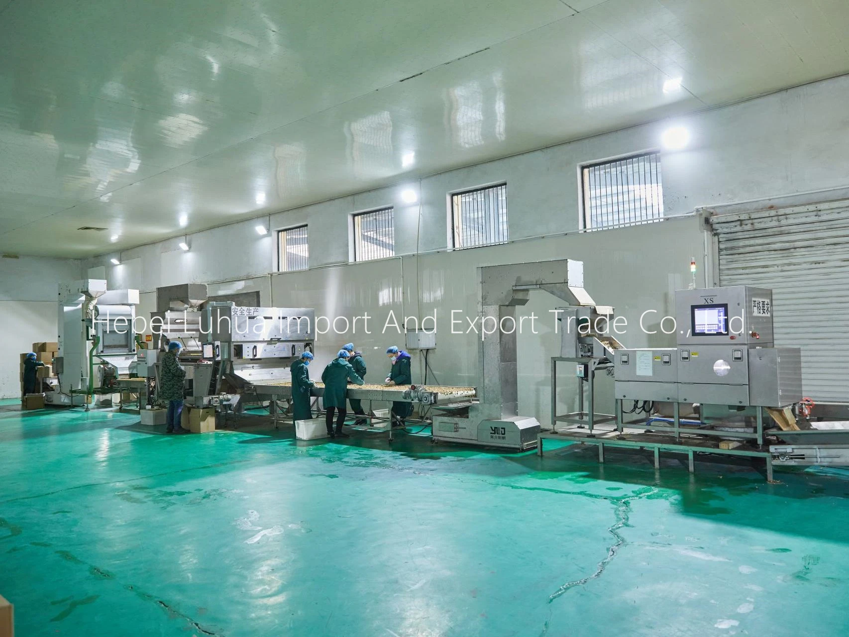 china walnuts