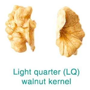 walnut without shell