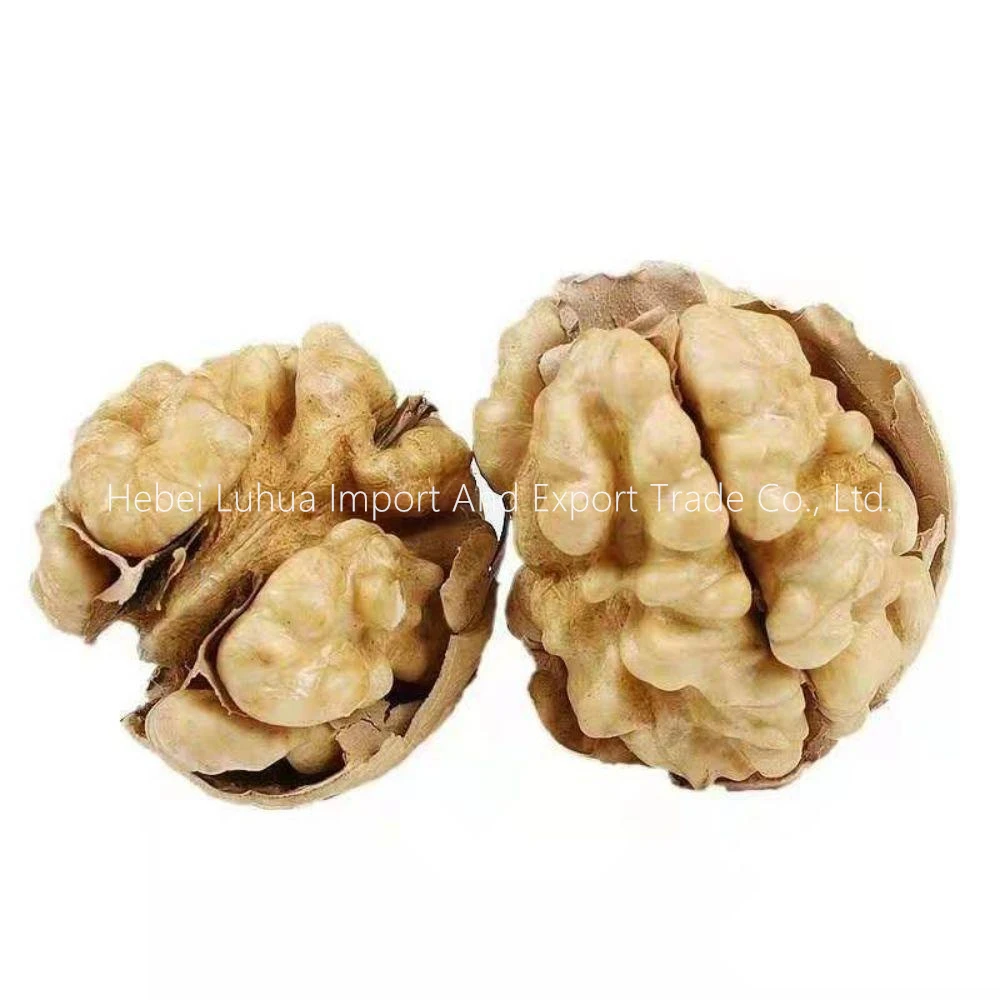 China Walnuts Whole Walnut Kernel Ball